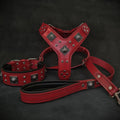 "EROS" BIG dog SET- Harness - collar - lead. Red